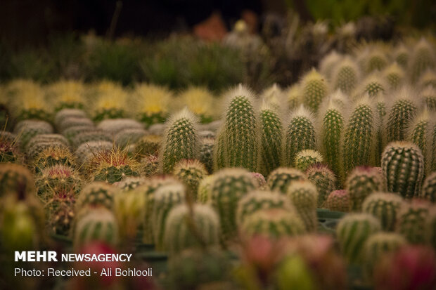 The 17th Tehran International Exhibition of Flowers and Plants