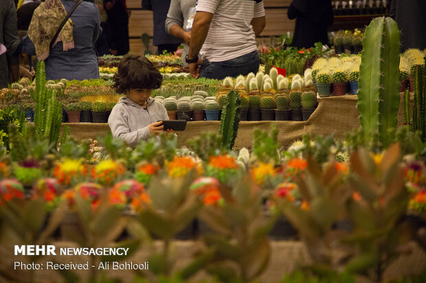 The 17th Tehran International Exhibition of Flowers and Plants