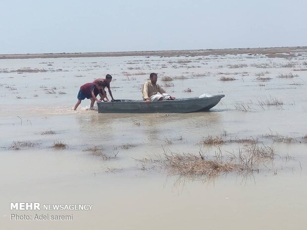 پرداخت تسهیلات و کمک بلاعوض به آبزی‌پروران متضرر از سیلاب 