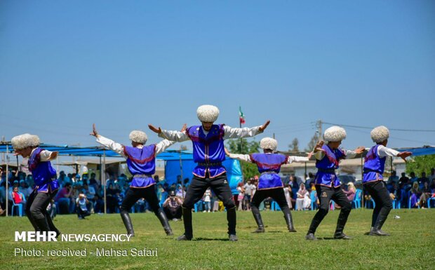 14th National Beauty Festival of Iran's Turkmen Horses