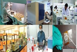 Iran’s growth in science and technology ‘notable’: Nigerian minister