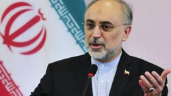 Salehi says Iran will overcome the difficult time