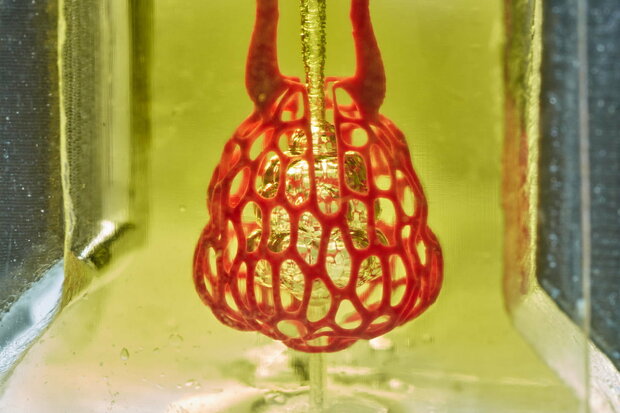 تولید شبکه عروقی بدن انسان با کمک پرینتر سه بعدی