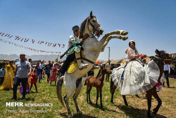 عروسی سنتی قشقایی در فیروزآباد فارس
