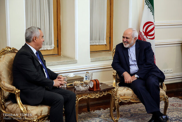 New Tajik envoy submits credentials to Zarif