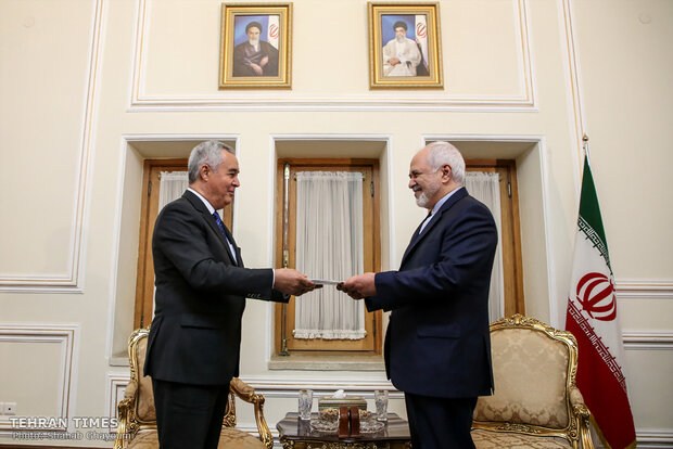 New Tajik envoy submits credentials to Zarif