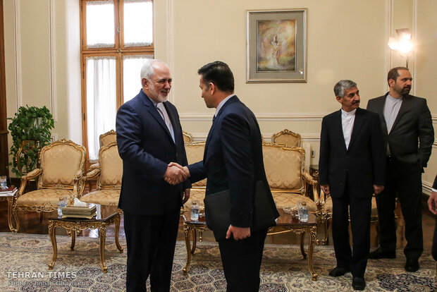 New Tajik envoy submits credentials to Zarif