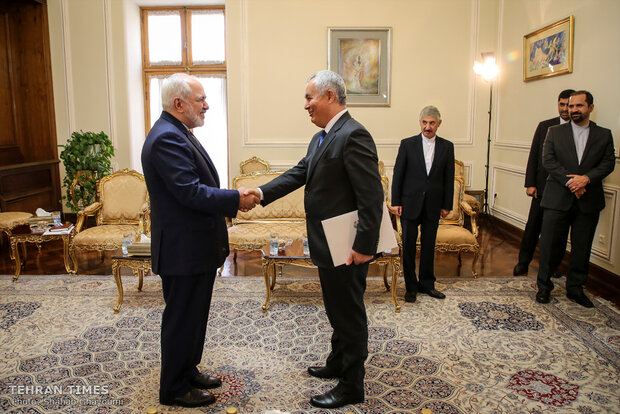 New Tajik envoy submits credentials to Zarif