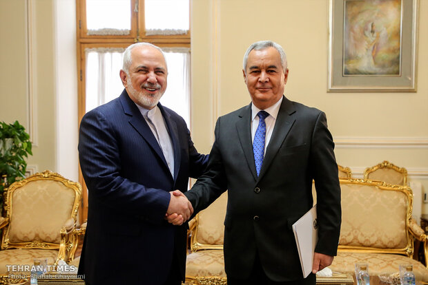 New Tajik envoy submits credentials to Zarif