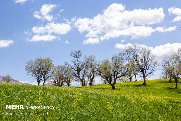 طبیعت بکر کاوند درویشان