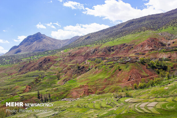 طبیعت بکر کاوند درویشان