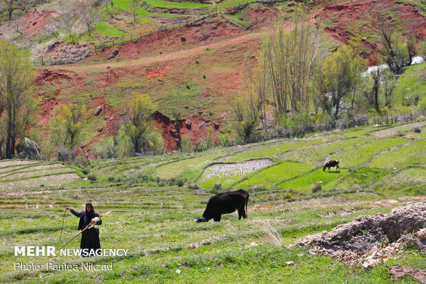 Beauties of Kavand-e Darvishan 