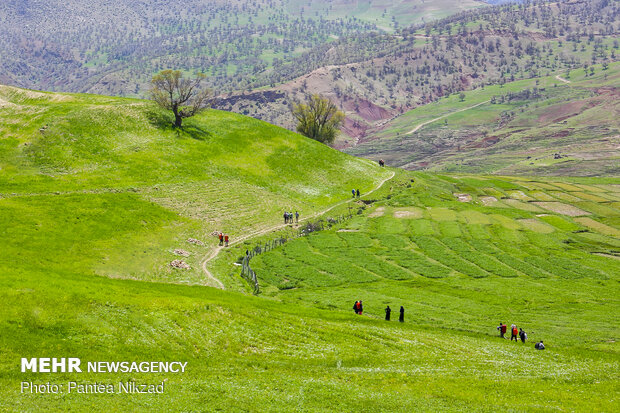 طبیعت بکر کاوند درویشان