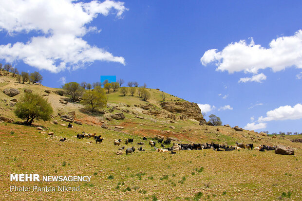 طبیعت بکر کاوند درویشان