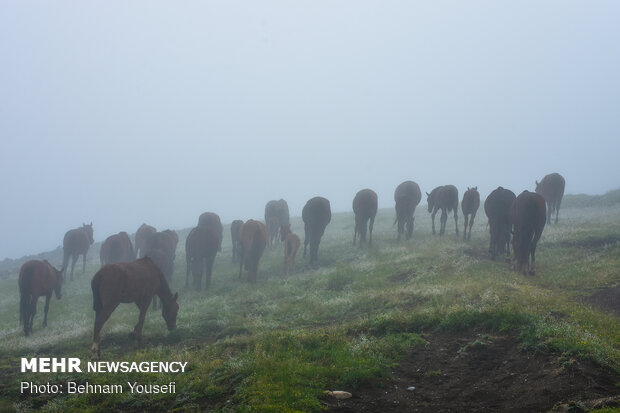 GILAN, a paradise in northern Iran