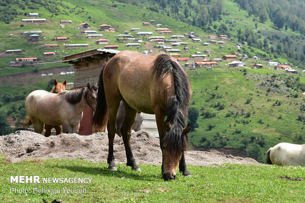 GILAN, a paradise in northern Iran