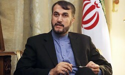 Israel exposed its true face in Gaza attacks: advisor