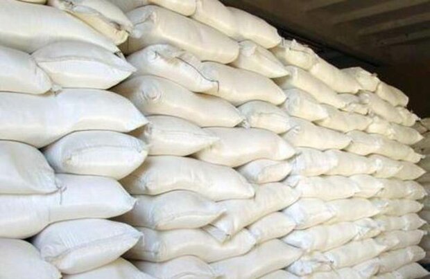 صادرات آرد گندم ۱۰۰میلیون دلار درآمدارزی برای زنجان به همراه دارد