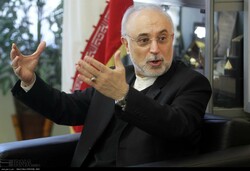 salehi