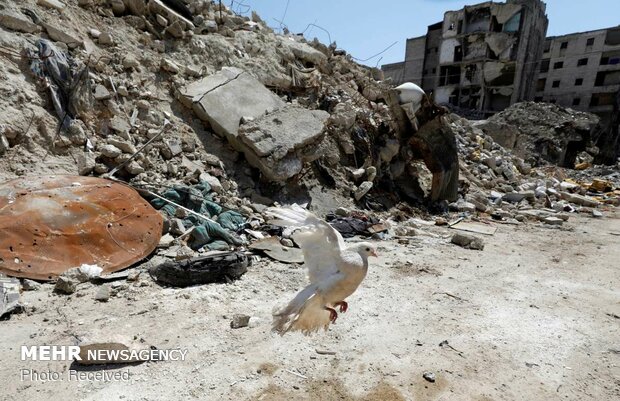 زندگی در ویرانه های حلب‎