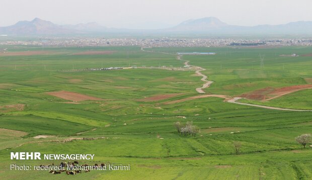 طبیعت بهاری کوهدشت