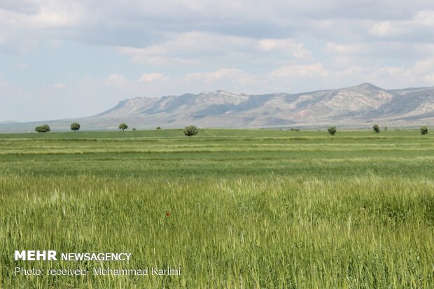 طبیعت بهاری کوهدشت