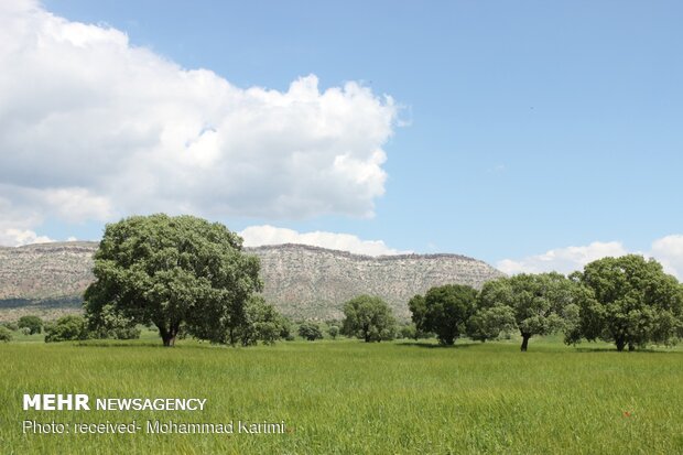 Bewitching landscapes of Kuhdasht in Lorestan province