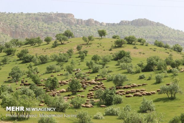 Bewitching landscapes of Kuhdasht in Lorestan province