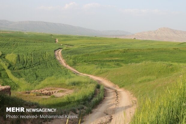 طبیعت بهاری کوهدشت