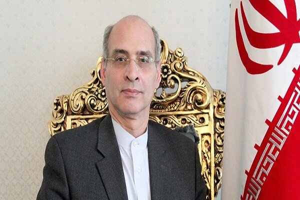 Iran’s envoy to Netherlands appointed as OPCW executive council deputy