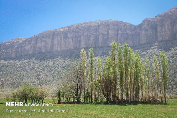 Springtime beauty of Dasht-e Arzhan in Shiraz