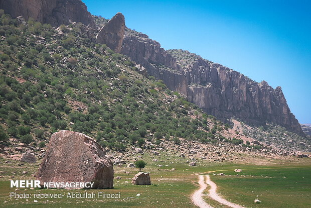 Springtime beauty of Dasht-e Arzhan in Shiraz