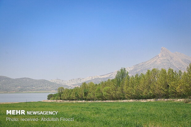 طبیعت بهاری روستای دشت ارژن