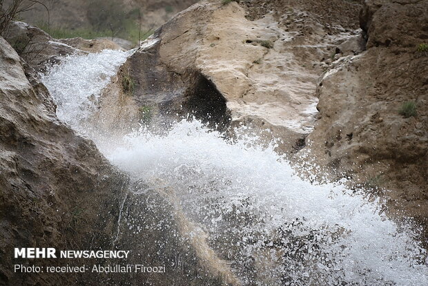 Springtime beauty of Dasht-e Arzhan in Shiraz