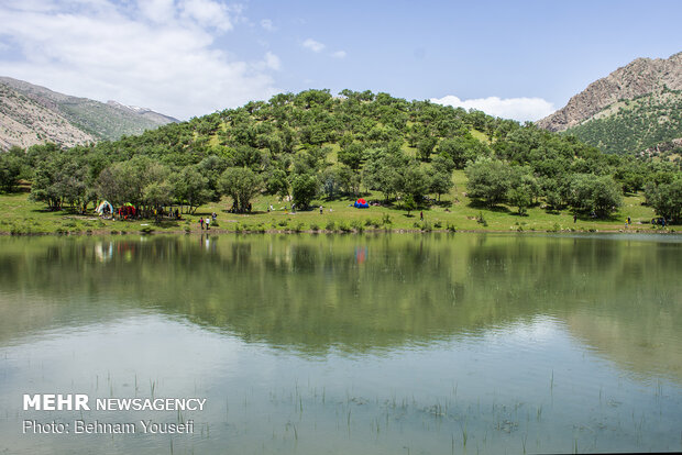 Azgen wetland in Lorestan province