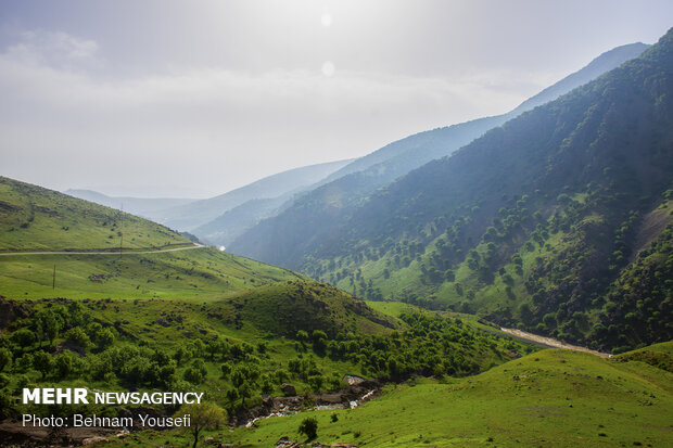 Azgen wetland in Lorestan province