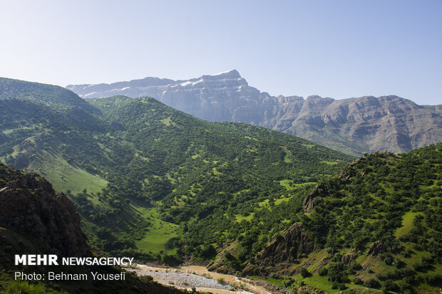 Azgen wetland in Lorestan province