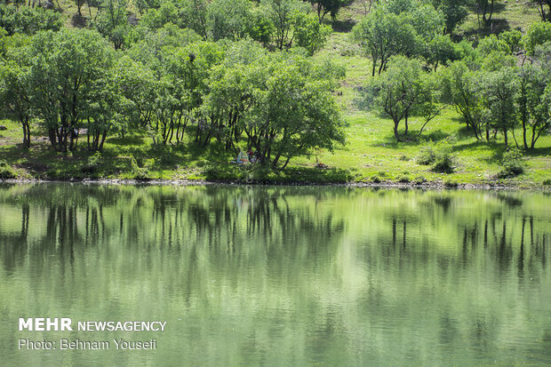 Azgen wetland in Lorestan province