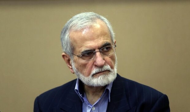 European companies can still purchase Iran' oil: ex-foreign min.