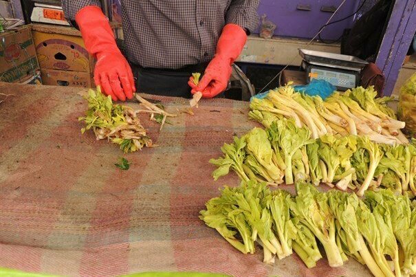 برخورد جدی یگان حفاظت منابع طبیعی ایلام با مخربان طبیعت