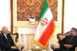 ‘Germany will spare no efforts to salvage nuclear deal’