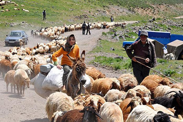 فرهنگ کوچ عشایر باید ثبت جهانی شود