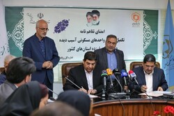 Mohammad Mokhber