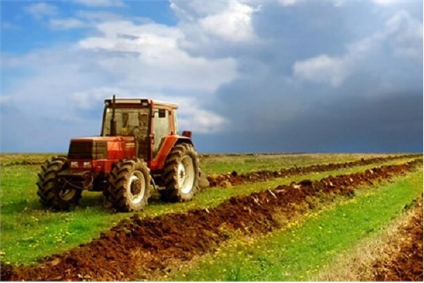 سالانه ۴۰۰ هزار تن محصولات کشاورزی در دهلران تولید می شود