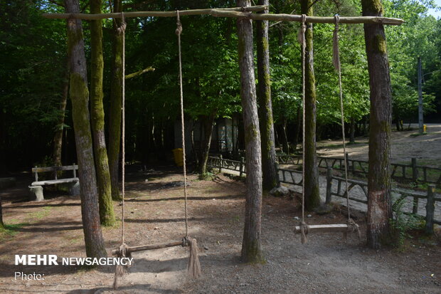 Bibi Yanlu forest park in Astara