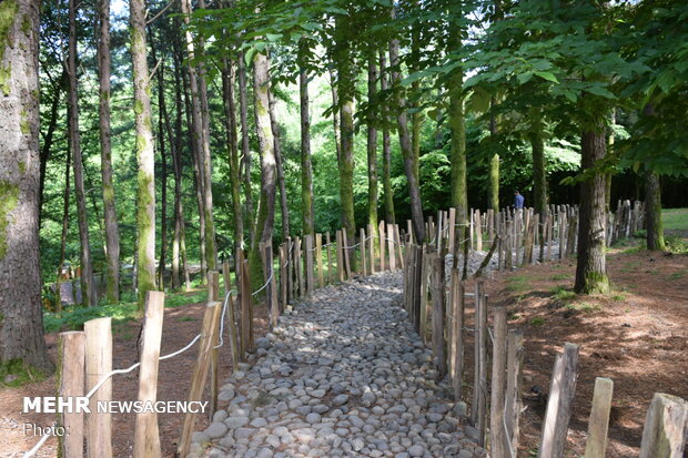 Bibi Yanlu forest park in Astara