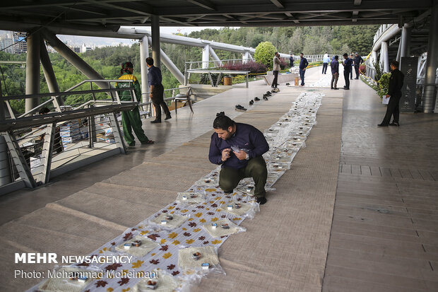 Iftar on Tehran's Nature bridge