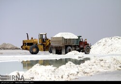 Salt harvesting; a way of survival for Lake Urmia