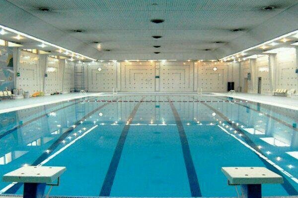 ۳ شناگر کرمانشاهی به تیم ملی دعوت شدند