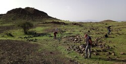 Iran-Germany archaeological survey ends in Jiroft